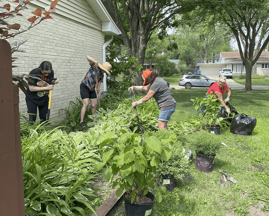 4 people pictured doing yardwork in a garden outside